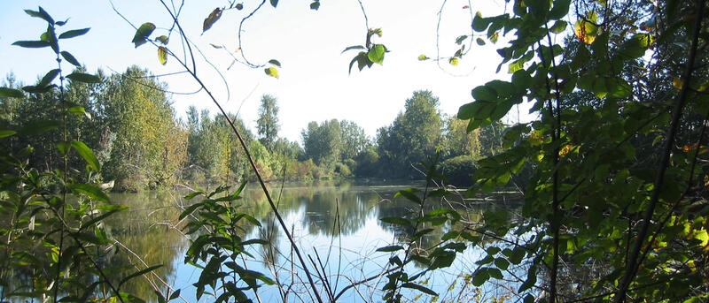 Whitaker Ponds Nature Park