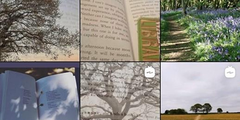 Walking Library for Forest Walks – Montage by Misha Myers