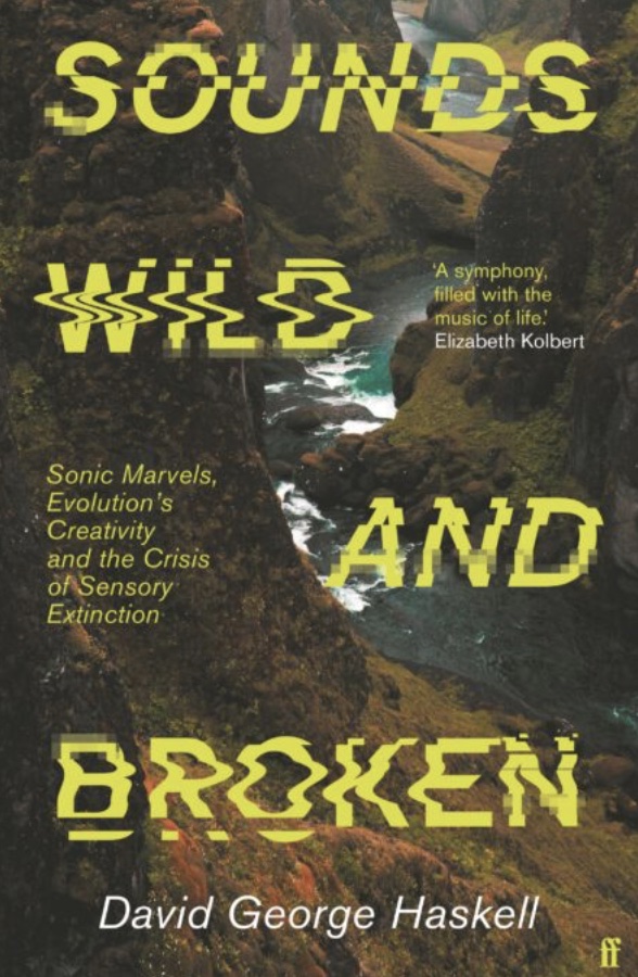 Sounds Wild and Broken Faber book jacket