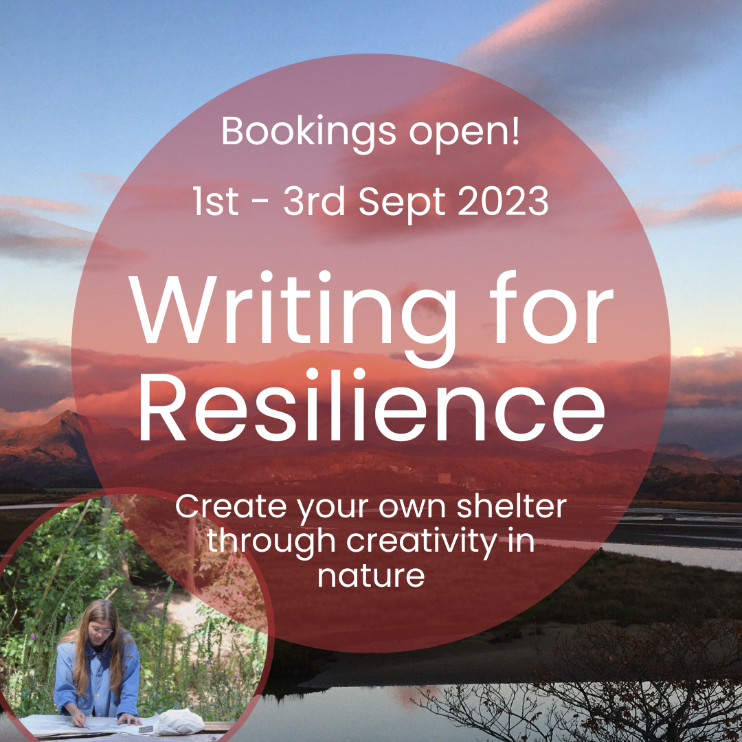 Writing for Resilience Poster