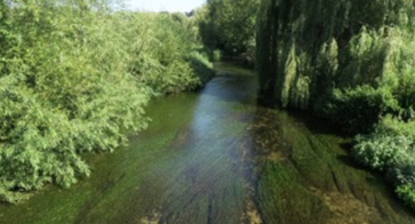 River Allen